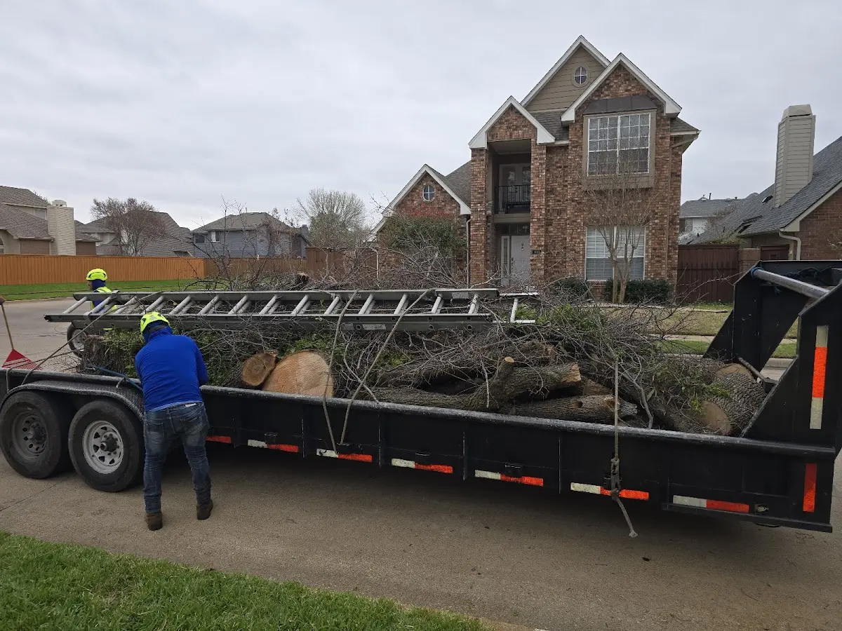 Expert Lot Clearing with proper safety equipment in Sweet Grass
